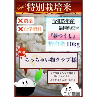 ちっちゃい物クラブ様専用　福岡県産「夢つくし」令和５年産　精白米10kg  (米/穀物)