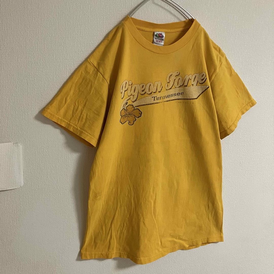 FRUIT OF THE LOOM(フルーツオブザルーム)のフルーツオブザルーム雰囲気古着オールドデザイン観光地Tシャツビッグロゴtシャツ メンズのトップス(Tシャツ/カットソー(半袖/袖なし))の商品写真
