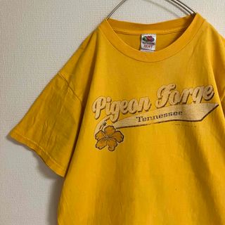 フルーツオブザルーム(FRUIT OF THE LOOM)のフルーツオブザルーム雰囲気古着オールドデザイン観光地Tシャツビッグロゴtシャツ(Tシャツ/カットソー(半袖/袖なし))