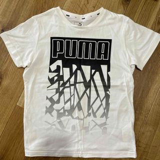 プーマ(PUMA)のTシャツ　PUMA   150㎝(Tシャツ/カットソー)