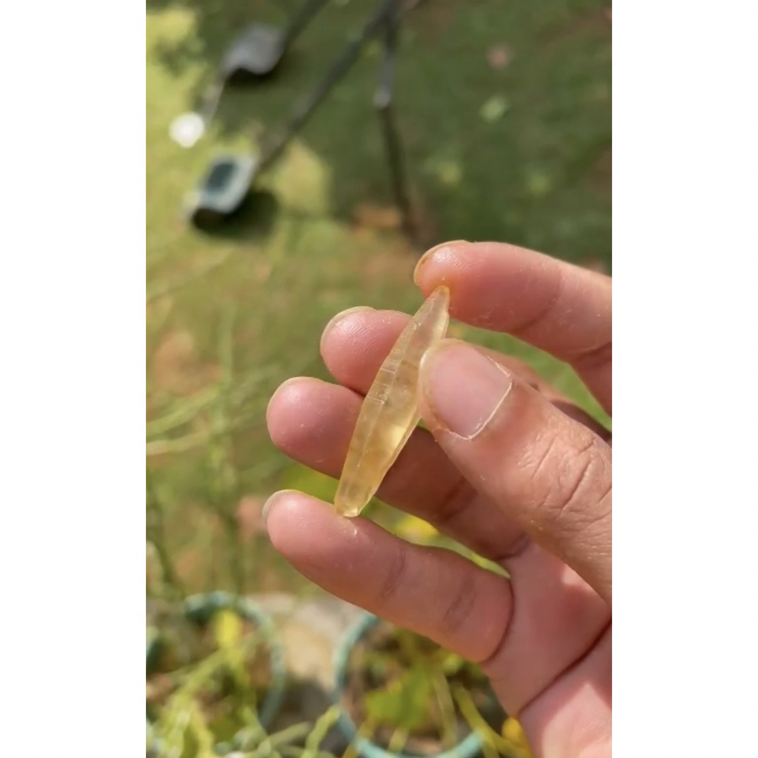 スリランカ産非加熱天然イエローサファイアクリスタル レディースのアクセサリー(リング(指輪))の商品写真
