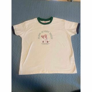 ニコアンド(niko and...)のnikoand tシャツ　ジャックラッセルテリア(Tシャツ/カットソー(半袖/袖なし))