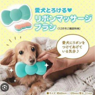 Benesse - いぬのきもち/付録/お家ケアブラシ/愛犬とろけるリボンマッサージ/未使用品