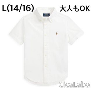 【新品】ラルフローレン ポニーロゴ 白シャツ L(14/16) 