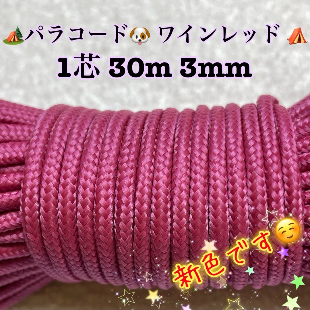 ☆★パラコード★☆１芯 ３m ３mm☆★４０１番★手芸とアウトドアなど用★ ハンドメイドの素材/材料(生地/糸)の商品写真