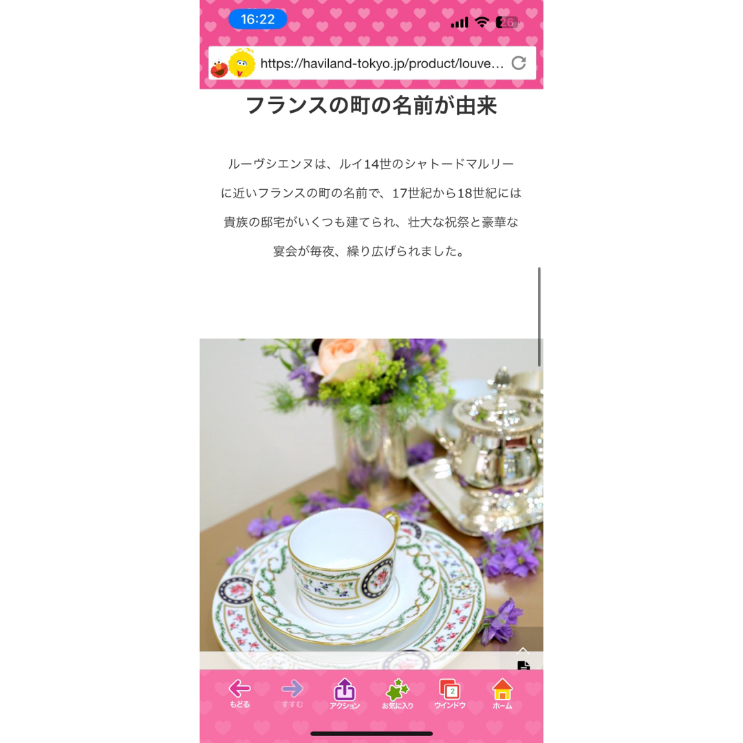 Haviland(アビランド)のアビランド Haviland リモージュ ルーブシエンヌ　6枚セット インテリア/住まい/日用品のキッチン/食器(食器)の商品写真