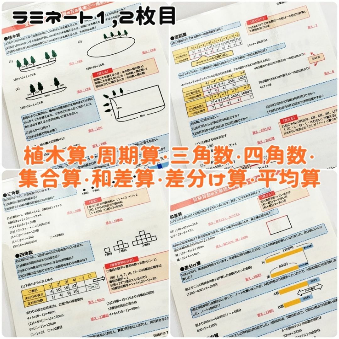 【011】中学受験算数　特殊算の文章題の解き方ラミネート　中学入試　小５、小6 エンタメ/ホビーの本(語学/参考書)の商品写真