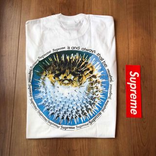 シュプリーム(Supreme)の新品タグ付き　supreme Tシャツ　Mサイズ　白(Tシャツ/カットソー(半袖/袖なし))