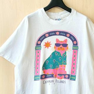 ヘインズ(Hanes)の90s USA製古着　ヴィンテージ　ヘインズ　ビーフィ　Tシャツ　ファンキー猫(Tシャツ/カットソー(半袖/袖なし))