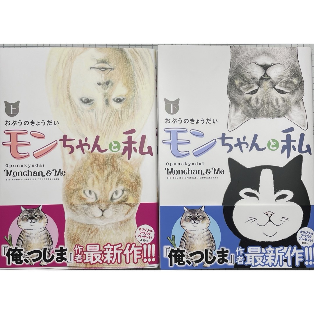 小学館(ショウガクカン)のモンちゃんと私　上下巻セット エンタメ/ホビーの漫画(その他)の商品写真