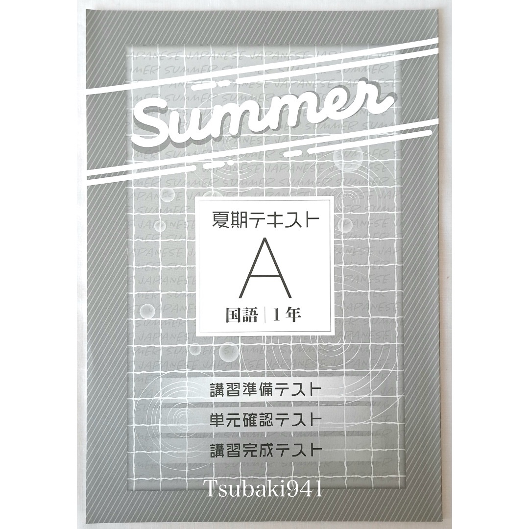 教育開発出版　夏期テキスト　国語　中学1年　A 基本編　未使用　塾専用教材② エンタメ/ホビーの本(語学/参考書)の商品写真