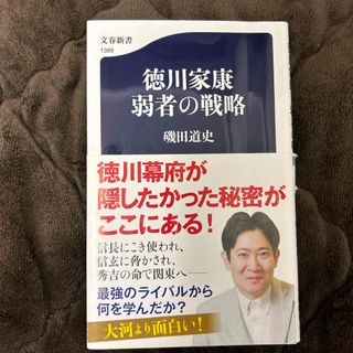 徳川家康弱者の戦略(その他)