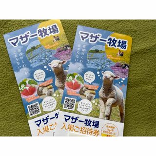 ⭐️ マザー牧場　入場ご招待券（無料券）　2枚(動物園)