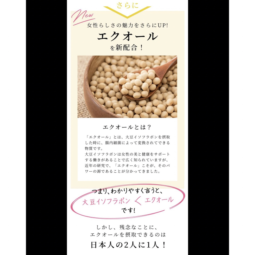 グラミープラス 1袋 30粒 ボディケアサプリ サプリメント 日本製 サプリ 食品/飲料/酒の健康食品(その他)の商品写真