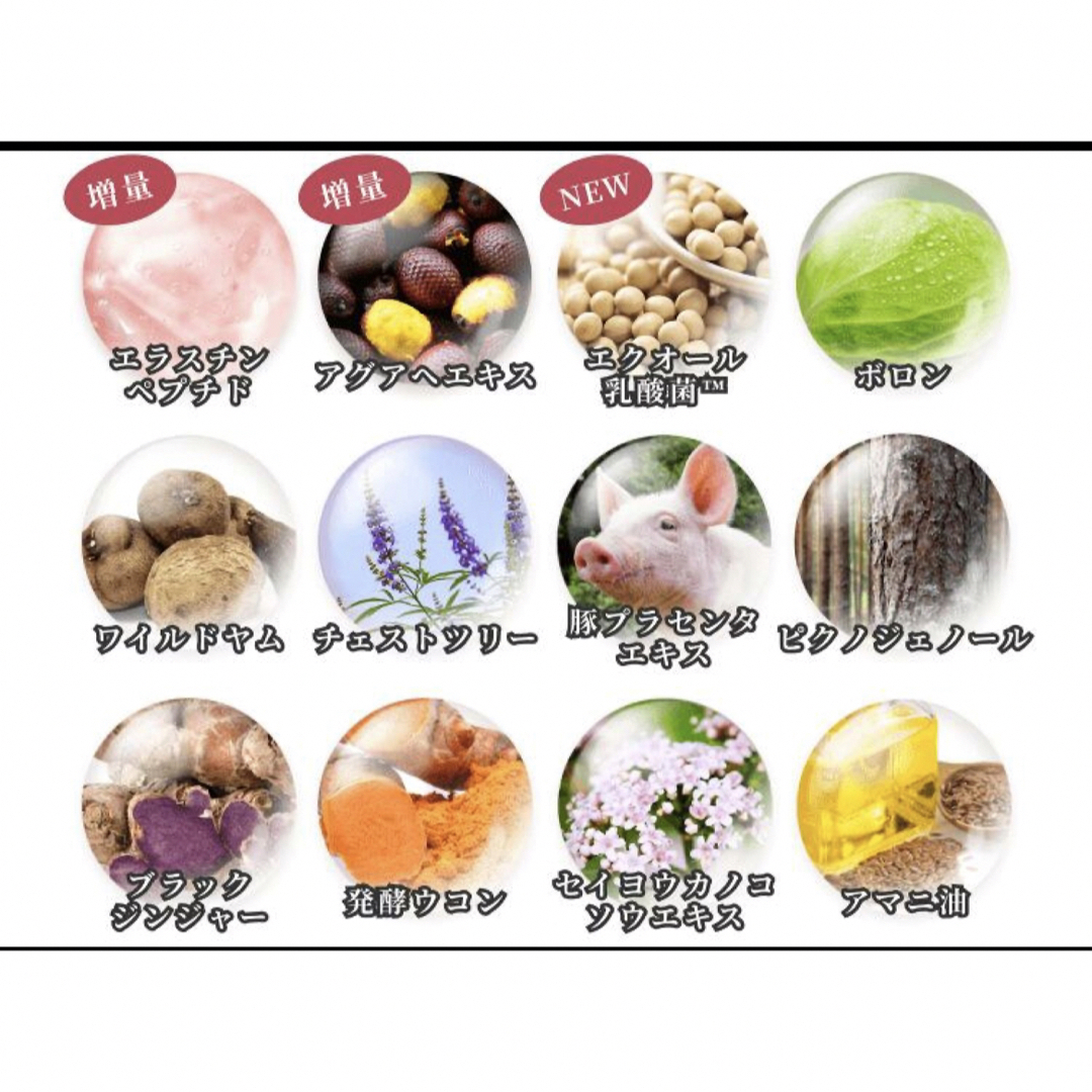 グラミープラス 1袋 30粒 ボディケアサプリ サプリメント 日本製 サプリ 食品/飲料/酒の健康食品(その他)の商品写真