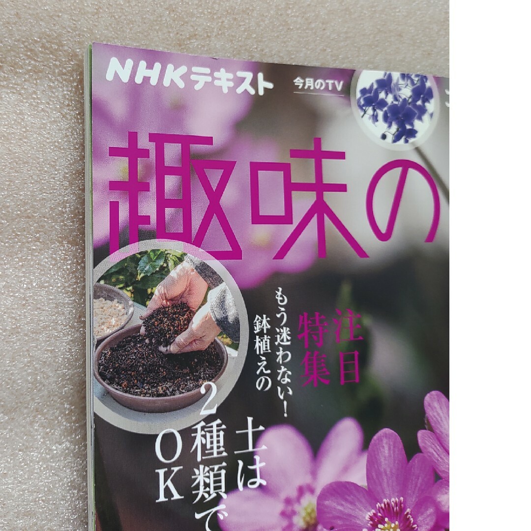 NHK 趣味の園芸 2024年 01月号 [雑誌] エンタメ/ホビーの雑誌(その他)の商品写真