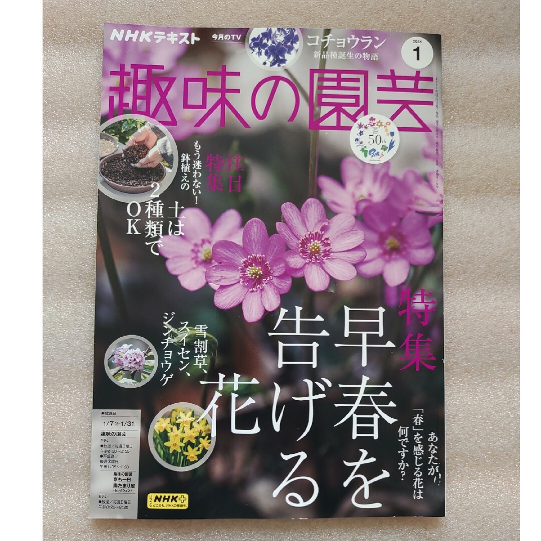 NHK 趣味の園芸 2024年 01月号 [雑誌] エンタメ/ホビーの雑誌(その他)の商品写真