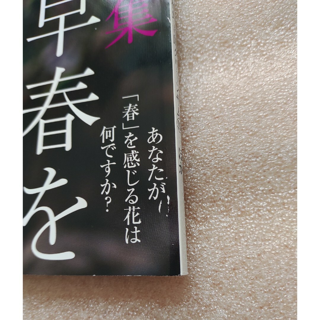 NHK 趣味の園芸 2024年 01月号 [雑誌] エンタメ/ホビーの雑誌(その他)の商品写真