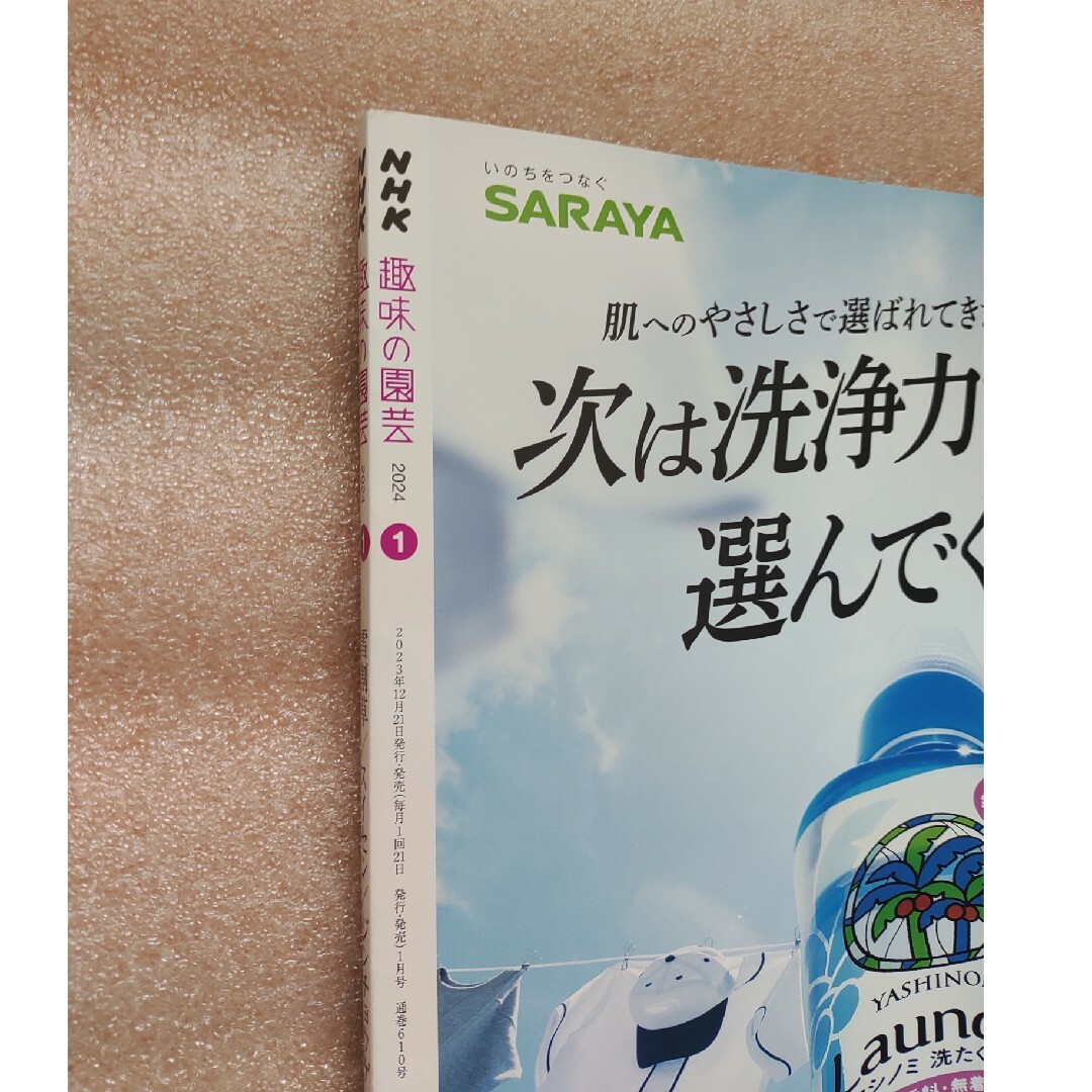 NHK 趣味の園芸 2024年 01月号 [雑誌] エンタメ/ホビーの雑誌(その他)の商品写真