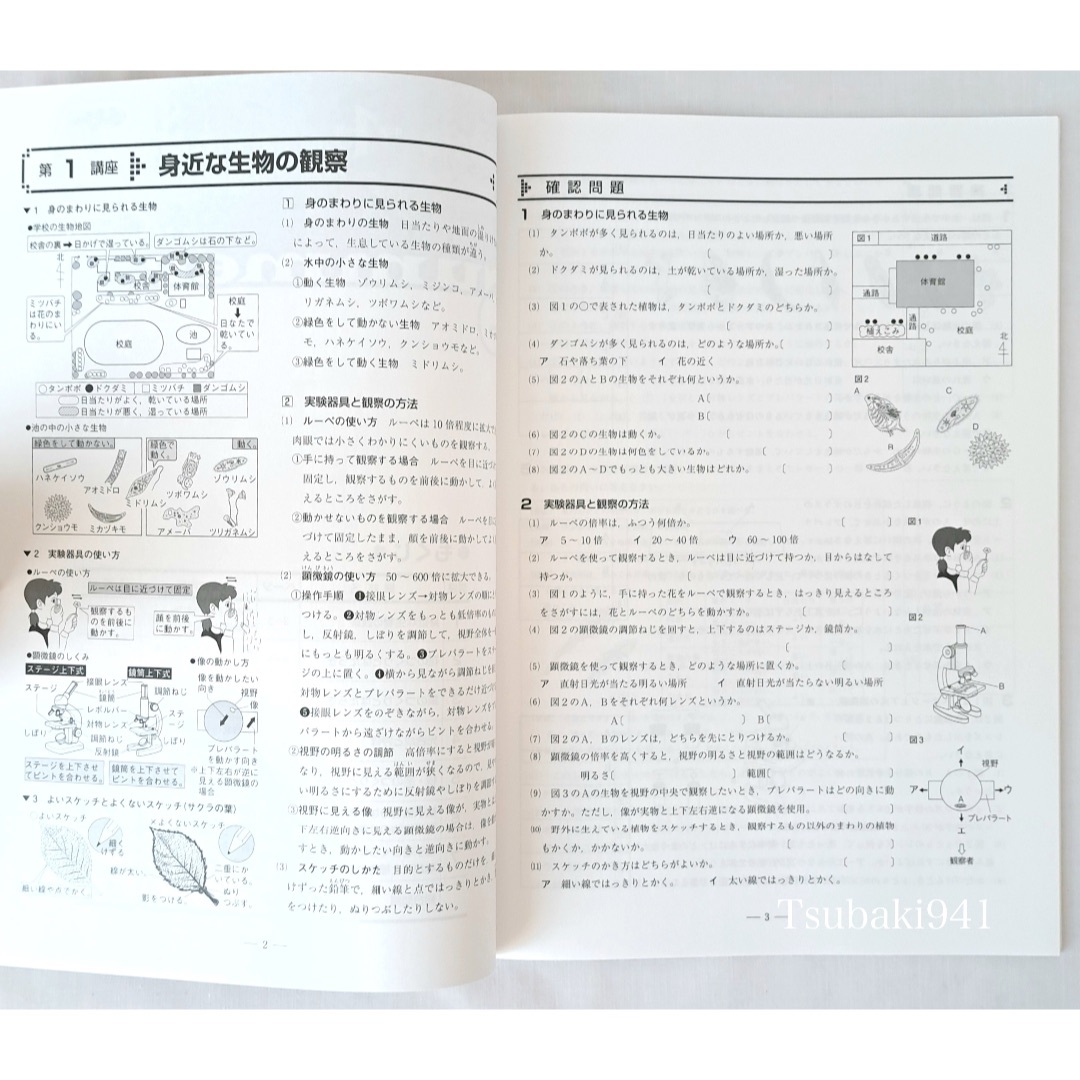 教育開発出版　夏期テキスト　理科　中学1年　A 基本編　未使用　塾専用教材 エンタメ/ホビーの本(語学/参考書)の商品写真