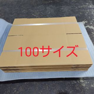 段ボール100サイズ用10枚①