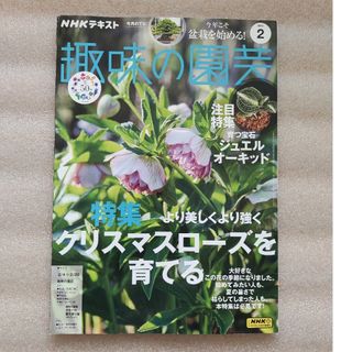 NHK 趣味の園芸 2024年 02月号 [雑誌](その他)