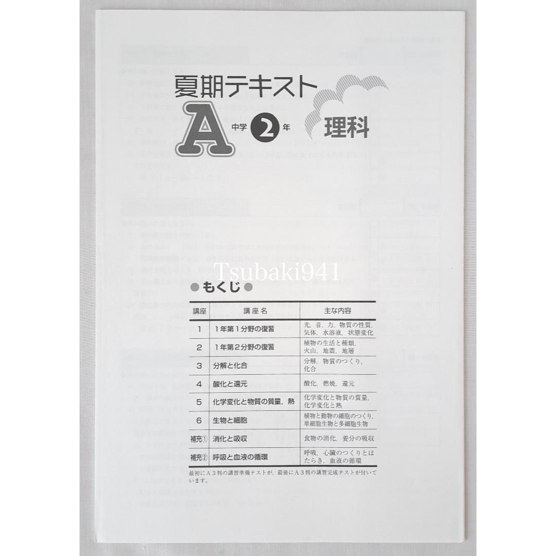 教育開発出版　夏期テキスト　理科　中学2年　A 基本編　未使用　塾専用教材 エンタメ/ホビーの本(語学/参考書)の商品写真