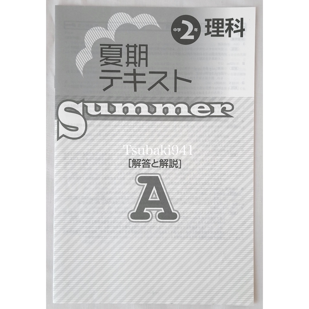 教育開発出版　夏期テキスト　理科　中学2年　A 基本編　未使用　塾専用教材 エンタメ/ホビーの本(語学/参考書)の商品写真