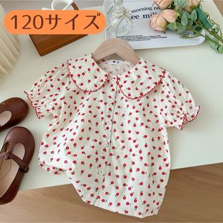 【新品】韓国子供服　ブラウス　花柄　女の子　120 レトロ　おでかけ(ブラウス)