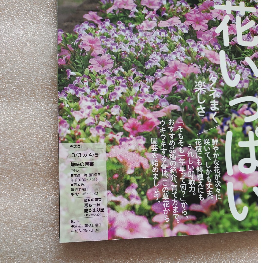 NHK 趣味の園芸 2024年 03月号 [雑誌] エンタメ/ホビーの雑誌(その他)の商品写真