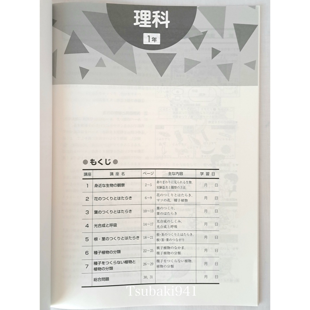 教育開発出版　夏期テキスト　理科　中学1年　A 基本編　未使用　塾専用教材 エンタメ/ホビーの本(語学/参考書)の商品写真