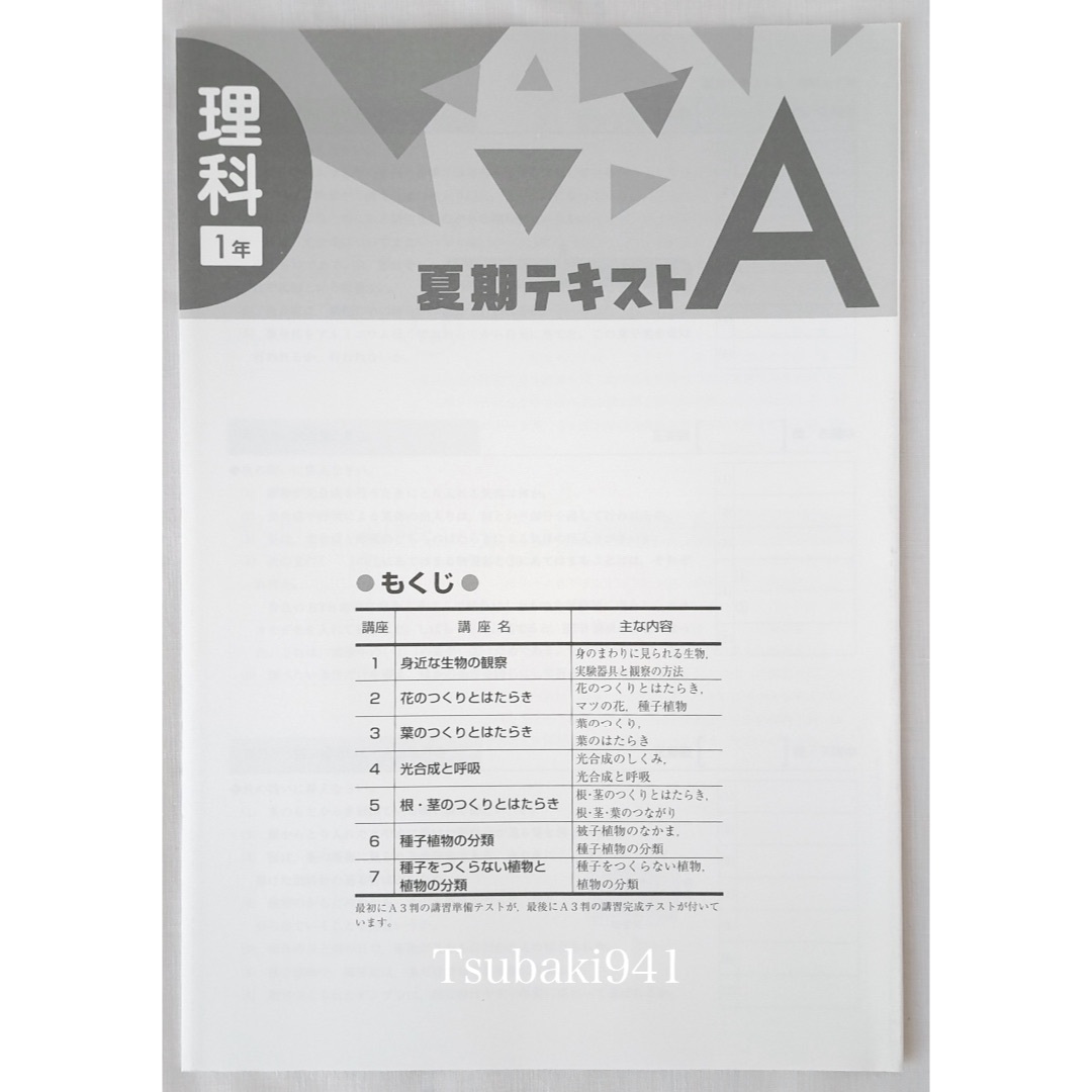 教育開発出版　夏期テキスト　理科　中学1年　A 基本編　未使用　塾専用教材 エンタメ/ホビーの本(語学/参考書)の商品写真