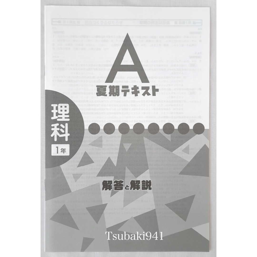 教育開発出版　夏期テキスト　理科　中学1年　A 基本編　未使用　塾専用教材 エンタメ/ホビーの本(語学/参考書)の商品写真