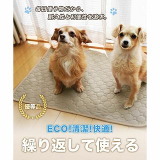 洗える ペットシーツ 猫 犬用 2枚セット おしっこパッド超吸収 速乾 滑り止め