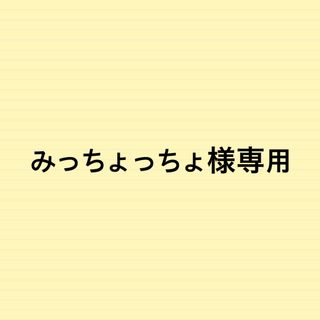 みっちょっちょ様専用(シャンプー)