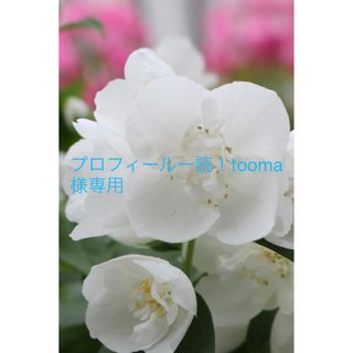 プロフィール一読！tooma様専用ページです(その他)