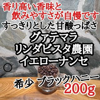 グァテマラ イエローナンセ 200g 自家焙煎 コーヒー豆 注文後焙煎(コーヒー)