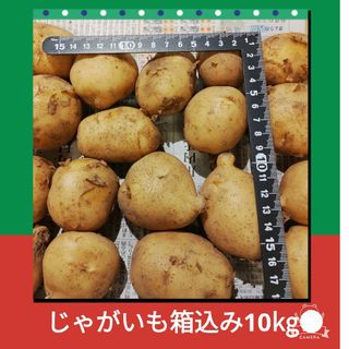 じゃがいも箱込み10kg◆規格外野菜(野菜)