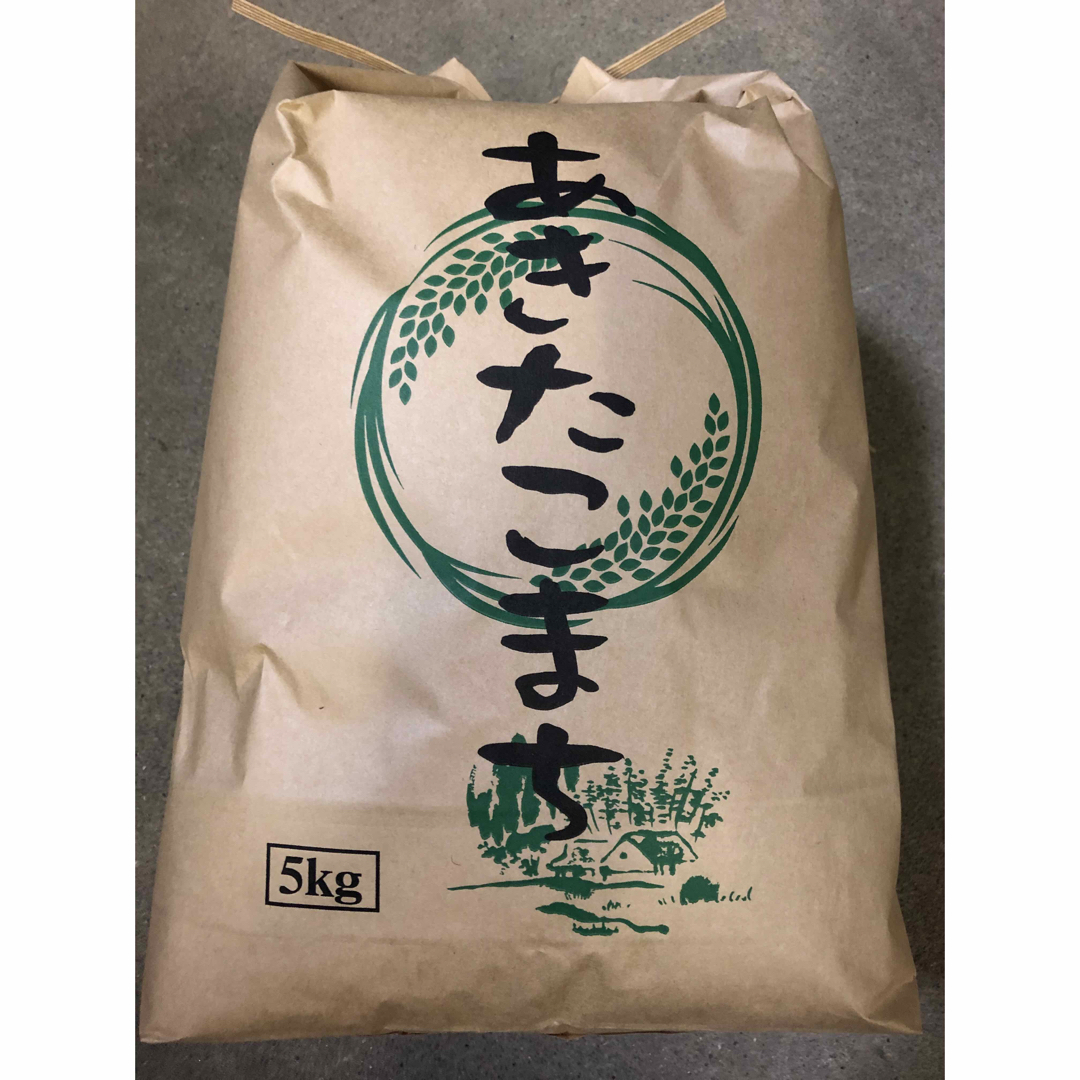 リズ&マックスさん専用　令和5年 秋田県産 あきたこまち 一等米 精米5kg  食品/飲料/酒の食品(米/穀物)の商品写真