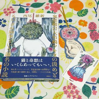 ヒグチユウコ - 【しおり・トレカ付き】西尾維新小説 装画 ヒグチユウコ ボリス雑貨店