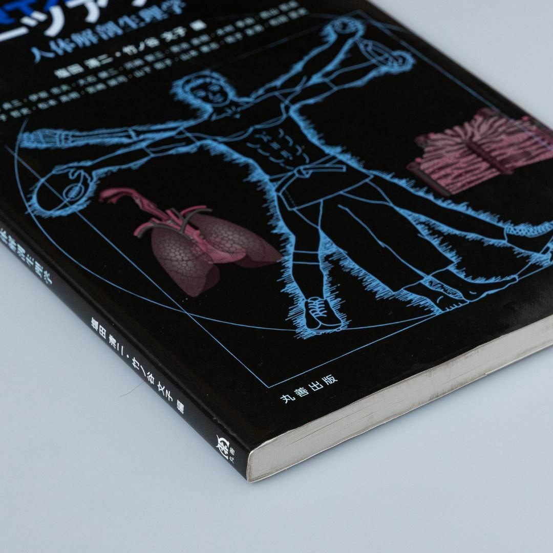 スポーツアナトミー : 人体解剖生理学 エンタメ/ホビーの本(趣味/スポーツ/実用)の商品写真