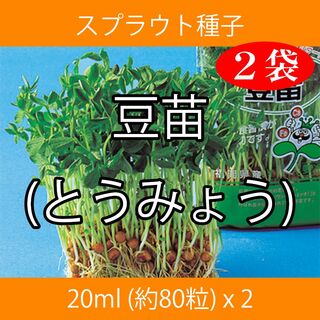 スプラウト種子 S-07 豆苗(とうみょう) 20ml 約80粒 x 2袋(野菜)