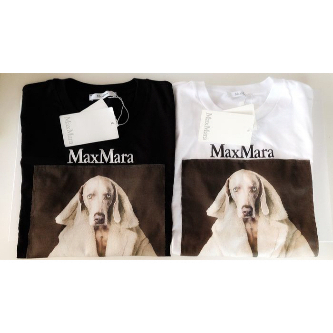 Max Mara(マックスマーラ)のMAX MARA VALIDO wegman マックスマーラTシャツ MMDOG レディースのトップス(Tシャツ(半袖/袖なし))の商品写真