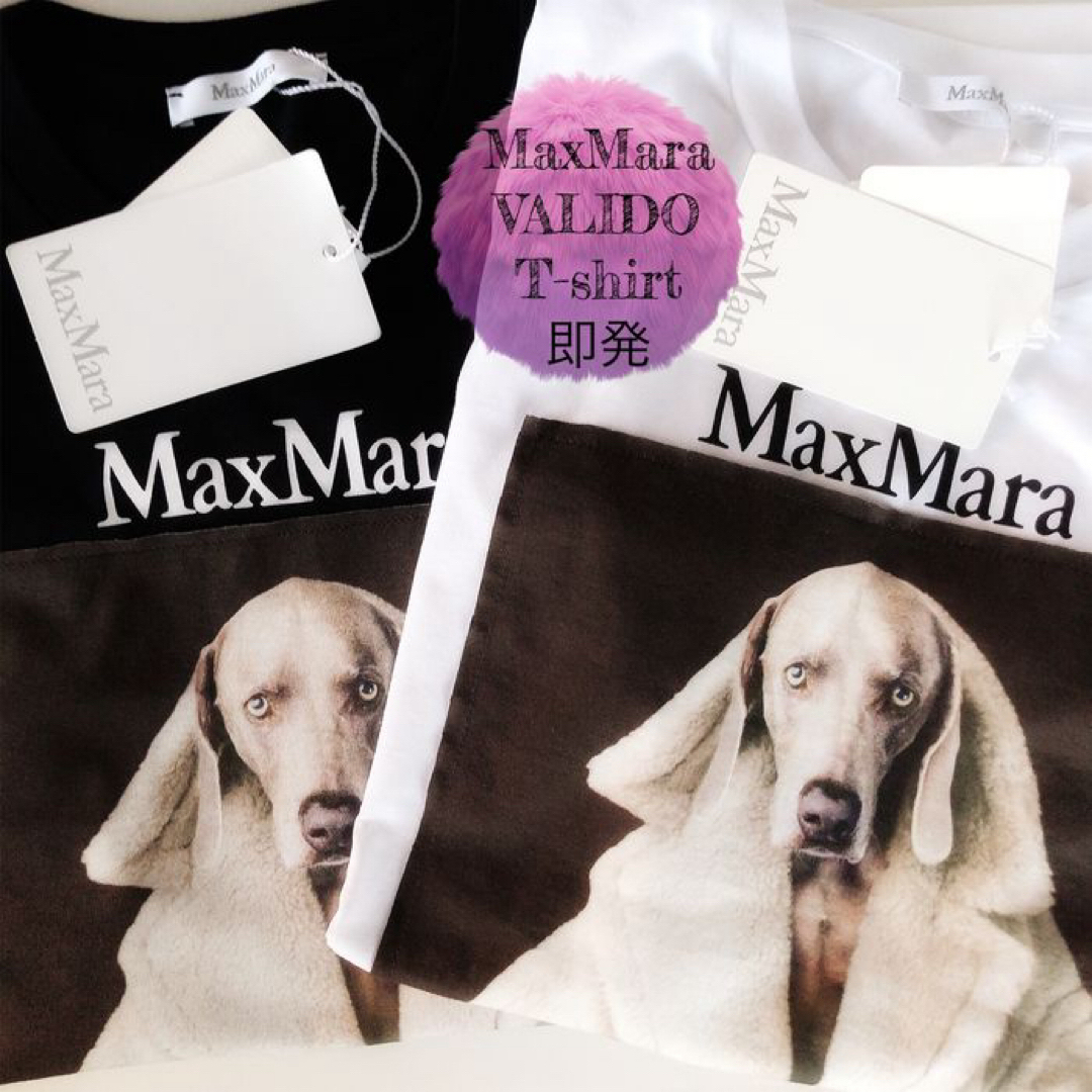 Max Mara(マックスマーラ)のMAX MARA VALIDO wegman マックスマーラTシャツ MMDOG レディースのトップス(Tシャツ(半袖/袖なし))の商品写真