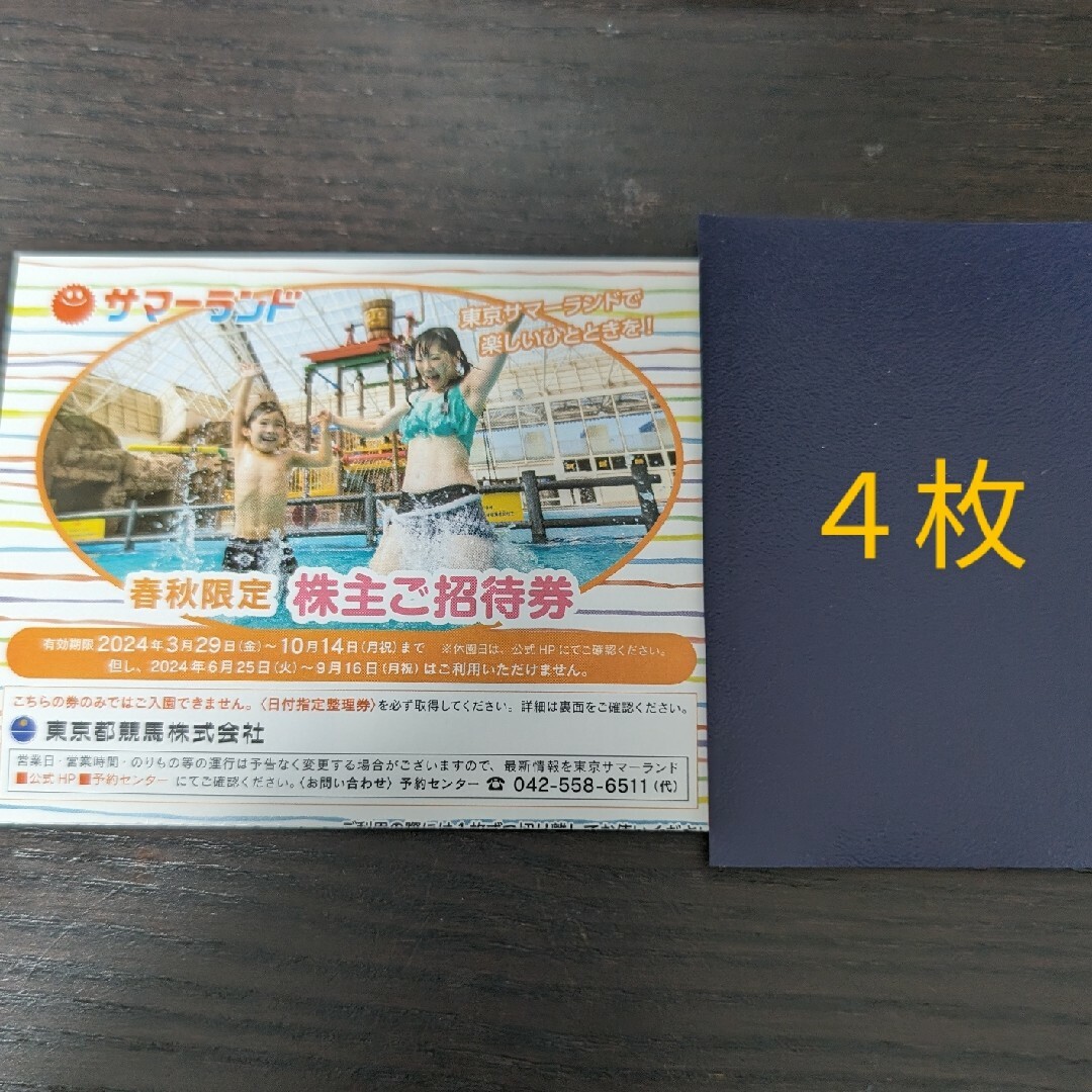 東京都競馬 株主優待券 サマーランド １Dayパス 4枚 チケットの施設利用券(遊園地/テーマパーク)の商品写真