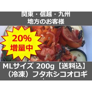 【関東・信越・九州の方】冷凍コオロギ MLサイズ240ｇ（フタホシコオロギ）(爬虫類/両生類用品)