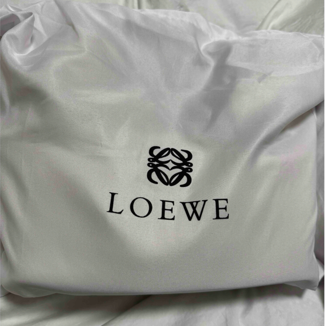 LOEWE(ロエベ)のロエベ  LOEWE  バッグ　スクイーズ   レディースのバッグ(ショルダーバッグ)の商品写真