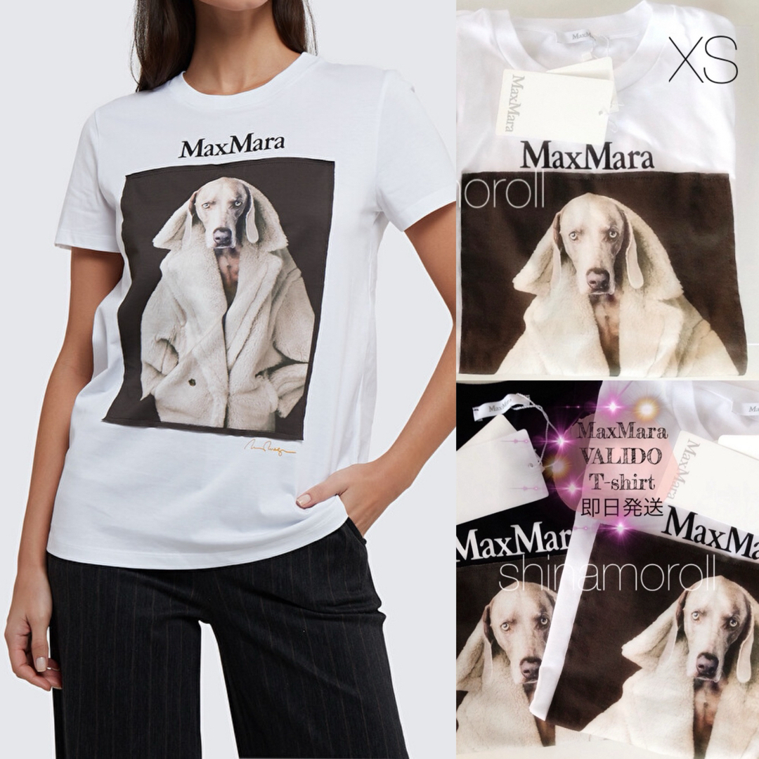 Max Mara(マックスマーラ)のMAX MARA VALIDO wegman マックスマーラTシャツ MMDOG レディースのトップス(Tシャツ(半袖/袖なし))の商品写真