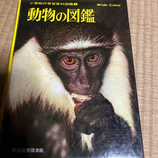 ショウガクカン(小学館)の動物の図鑑　小学館の学習百科図鑑5(語学/参考書)