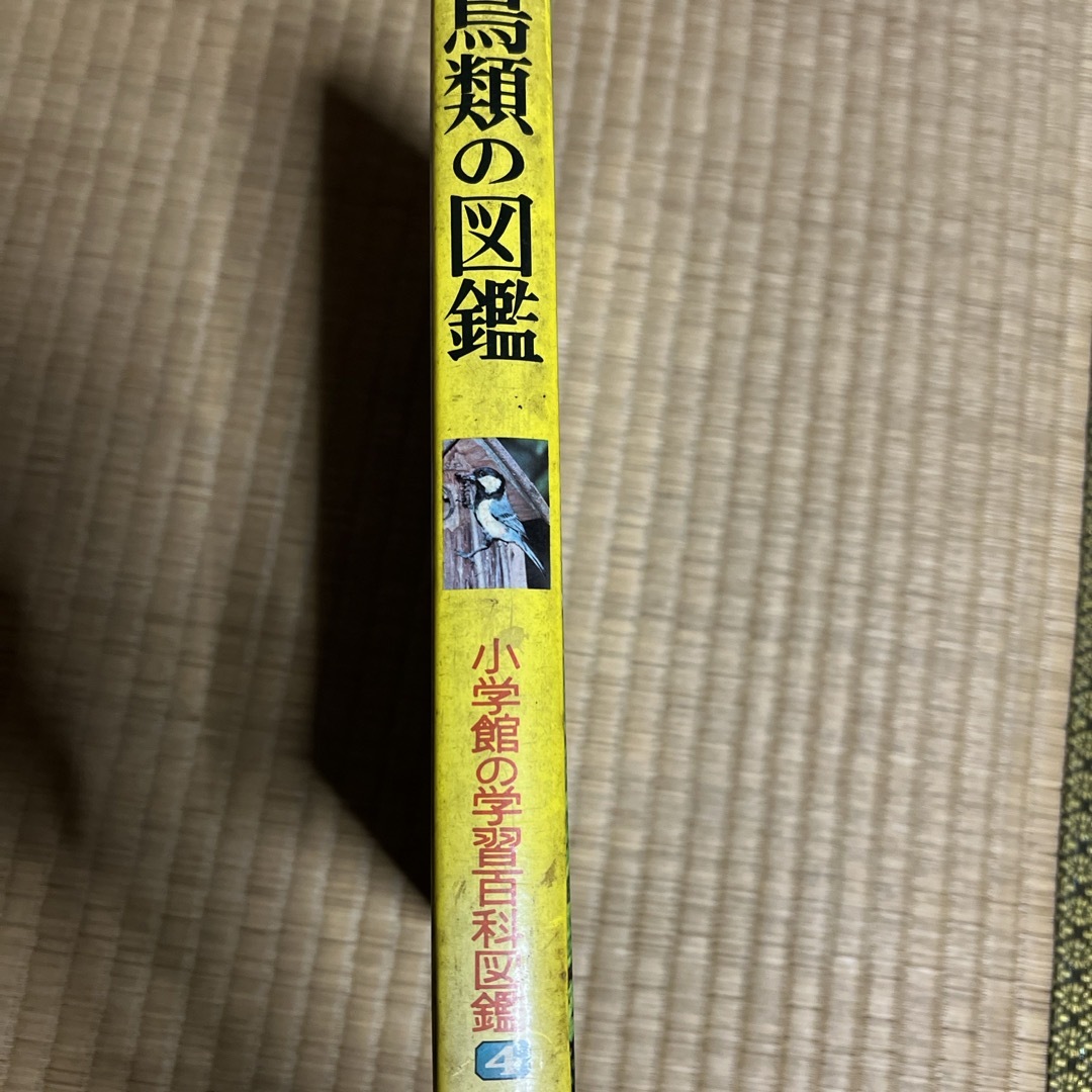 小学館(ショウガクカン)の鳥類の図鑑　小学館の学習百科図鑑4 エンタメ/ホビーの本(語学/参考書)の商品写真